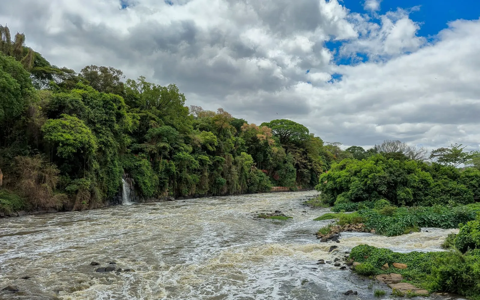 Rio Piracicaba e vegetação às margens, em Piracicaba (SP)
