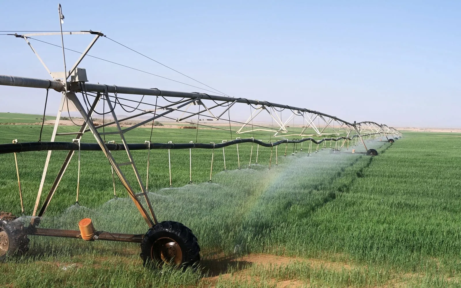Pivô de irrigação molhando lavoura verde